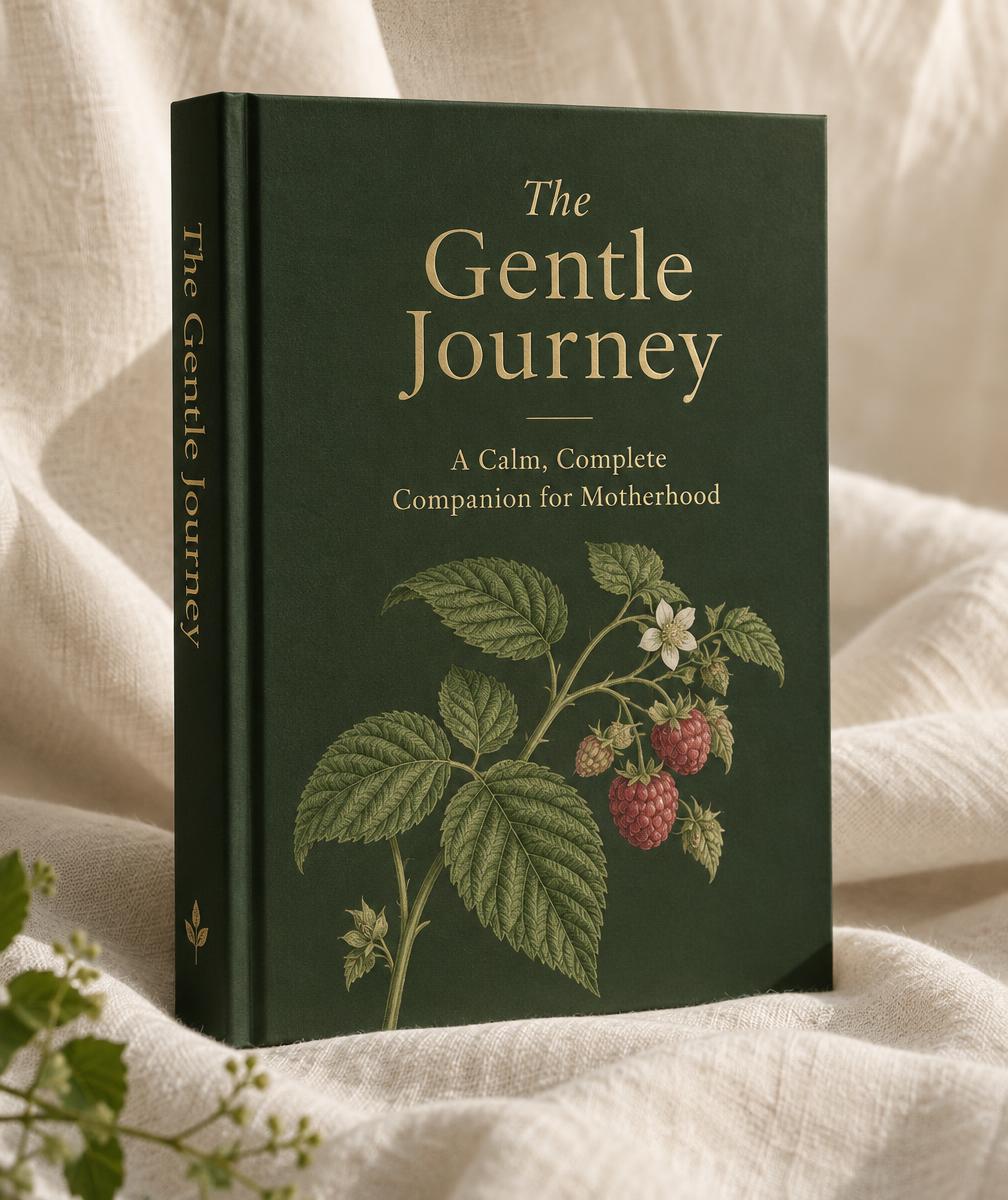 The Gentle Journey book cover